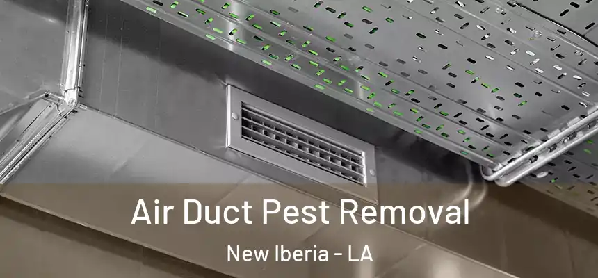 Air Duct Pest Removal New Iberia - LA