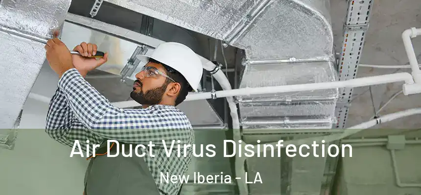 Air Duct Virus Disinfection New Iberia - LA