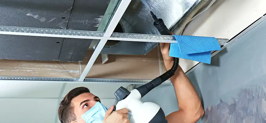 Our Air Duct Rodent Removal Services in New Iberia, LA