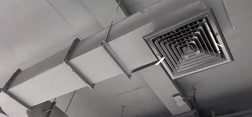 Restorative Allergy Relief Vent Cleaning – Coil, Blower & Housing Detail in New Iberia