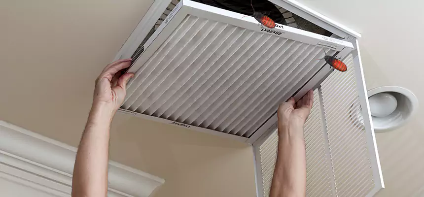 Our Insect Removal from Air Ducts Services in New Iberia, LA