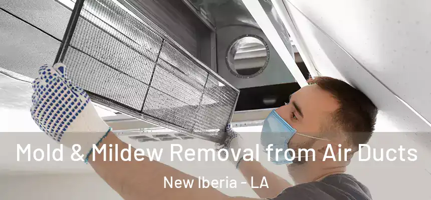 Mold & Mildew Removal from Air Ducts New Iberia - LA