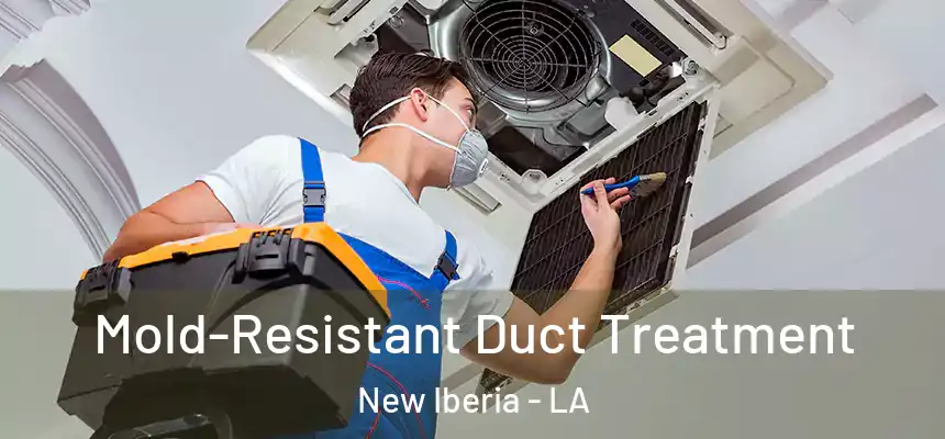 Mold-Resistant Duct Treatment New Iberia - LA