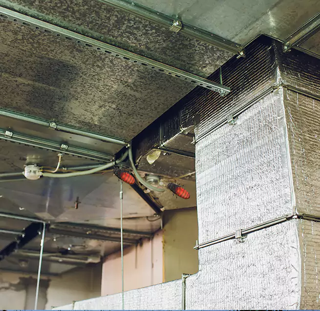 Why Homeowners & Businesses Trust Us in New Iberia, LA?