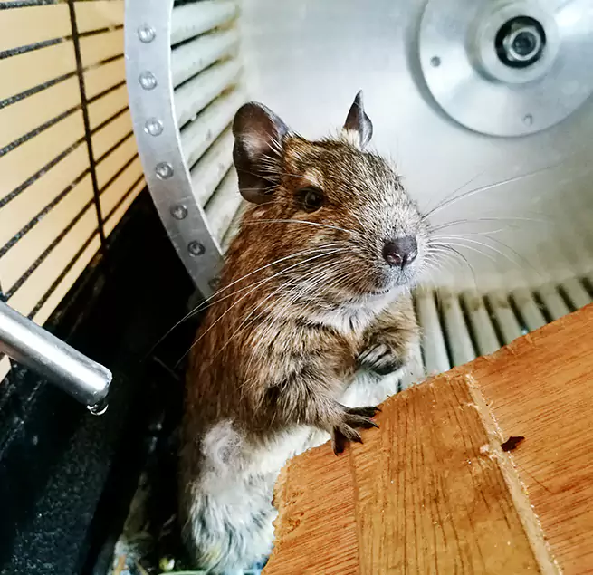 Why Homeowners & Businesses Trust Us New Iberia, LA?